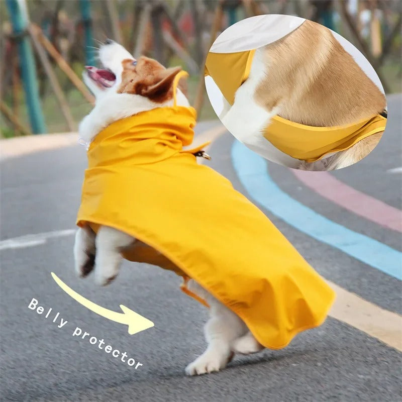 🔥 Dog Raincoat Pro! Waterproof Adjustable Jacket⚡Clear Hood Double Layer🌧️Reflective Pocket + Rim【For L/M/S Dogs】 🔥 Dog Raincoat Pro! Waterproof Adjustable Jacket⚡Clear Hood Double Layer🌧️Reflective Pocket + Rim【For L/M/S Dogs】